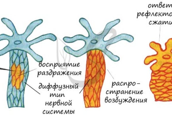 Почему не закрыт сайт кракен